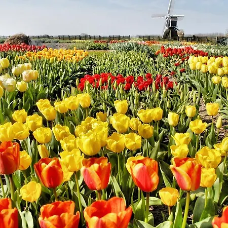 Buitenplaats Witte Raaf Aan Zee