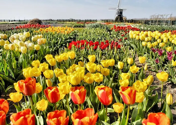 Buitenplaats Witte Raaf Aan Zee